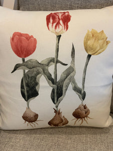 Tulips with bulbs pillow